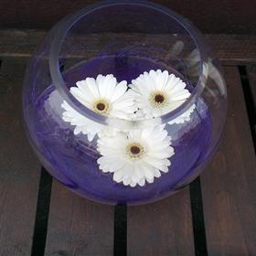 fwthumb51 fishbowl of gerbera 29.95.jpg